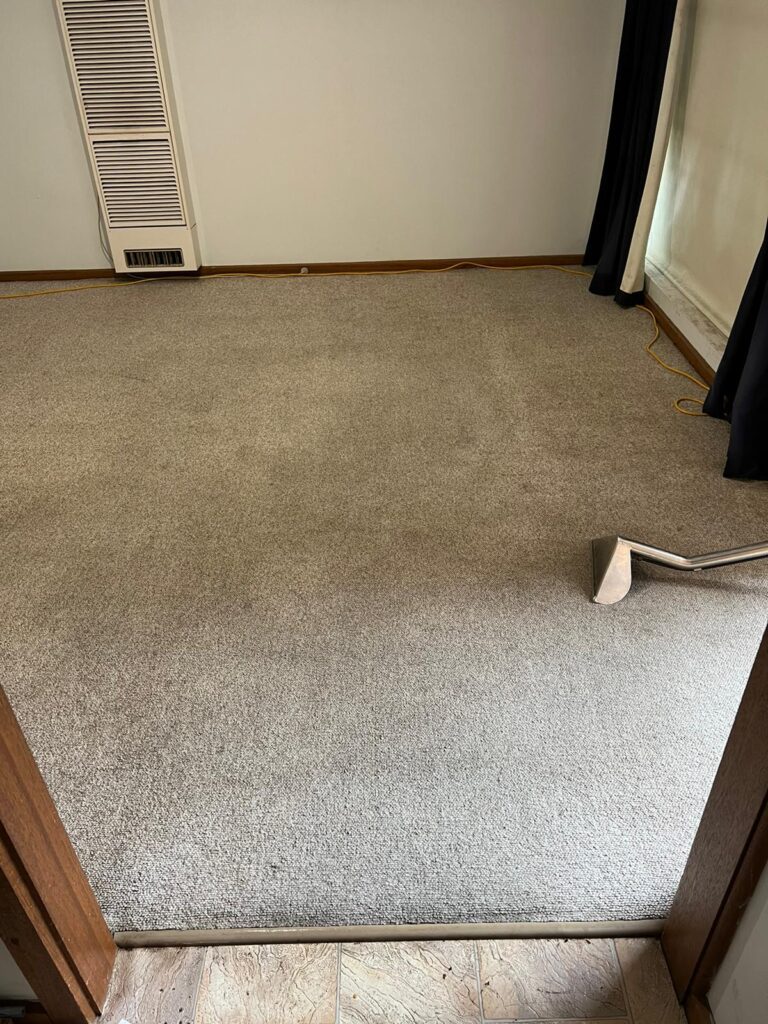 After: Heavily soiled bedroom carpet, steam cleaned