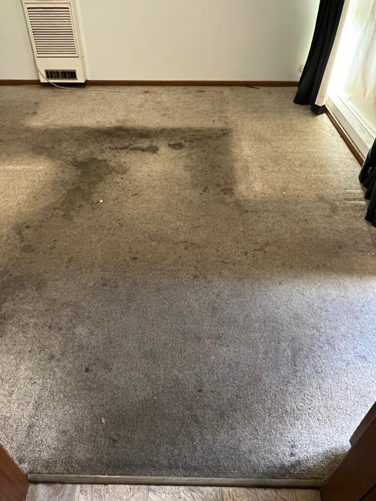 Before: Heavily soiled bedroom carpet, steam cleaned