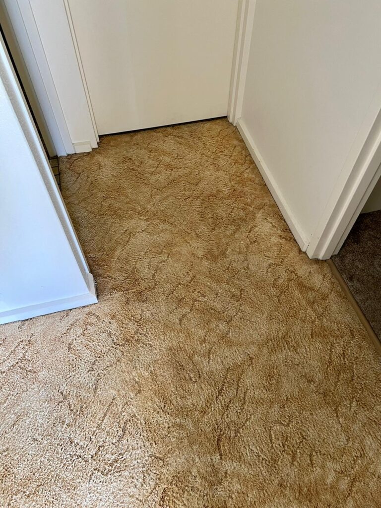 After: Traffic-worn doorway carpet