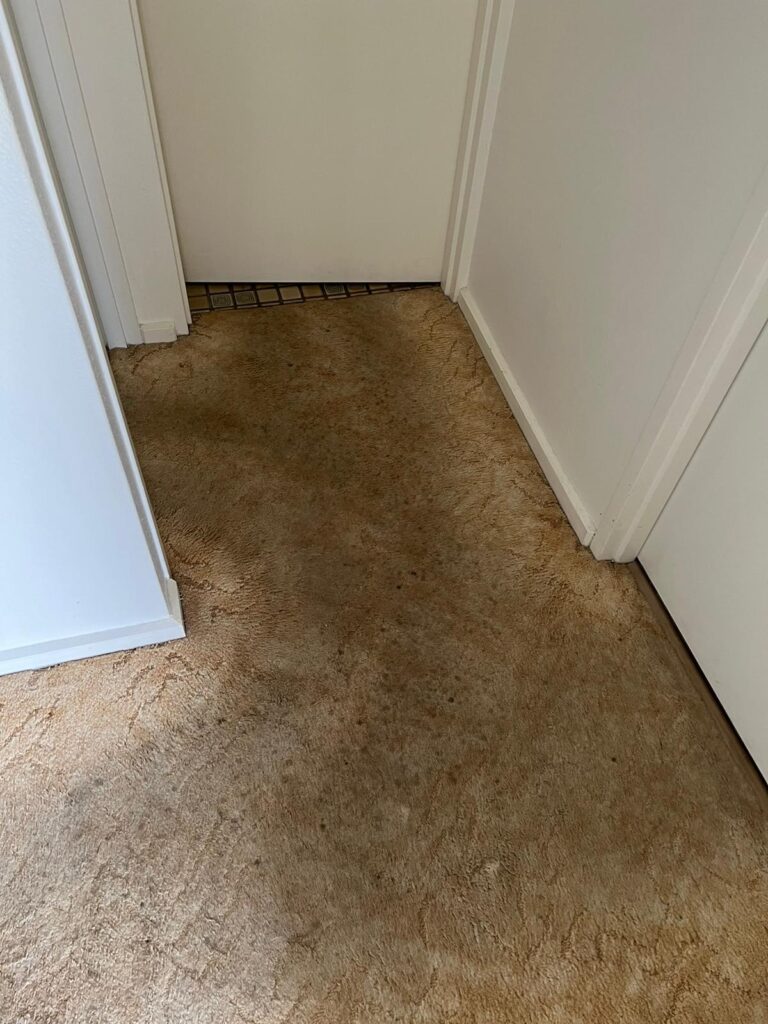 Before: Traffic-worn doorway carpet