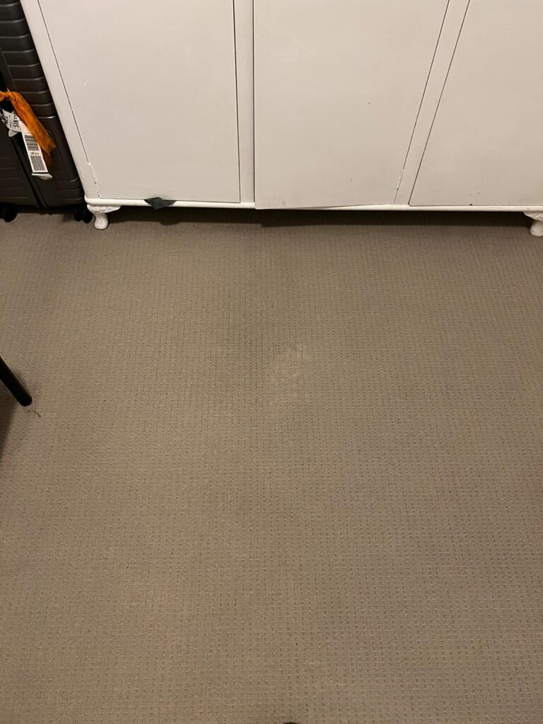 After: Water-marked hallway carpet