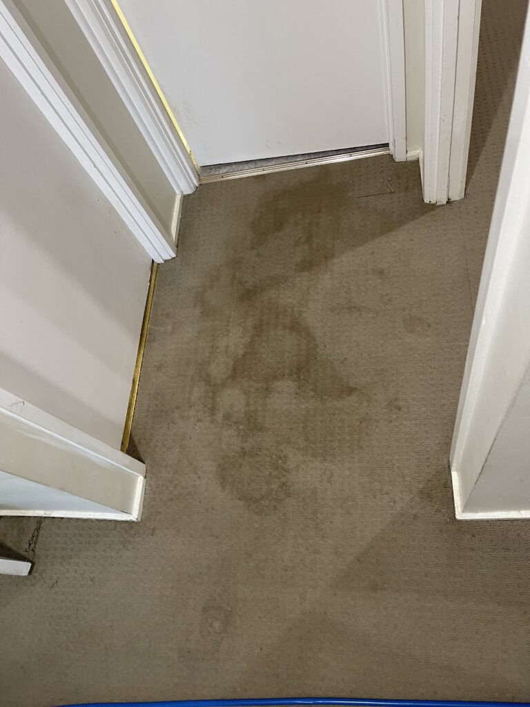 Before: Water-marked hallway carpet