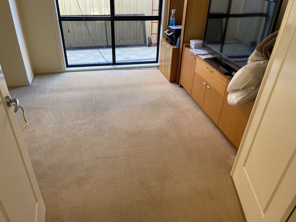 After: Stained lounge-room carpet