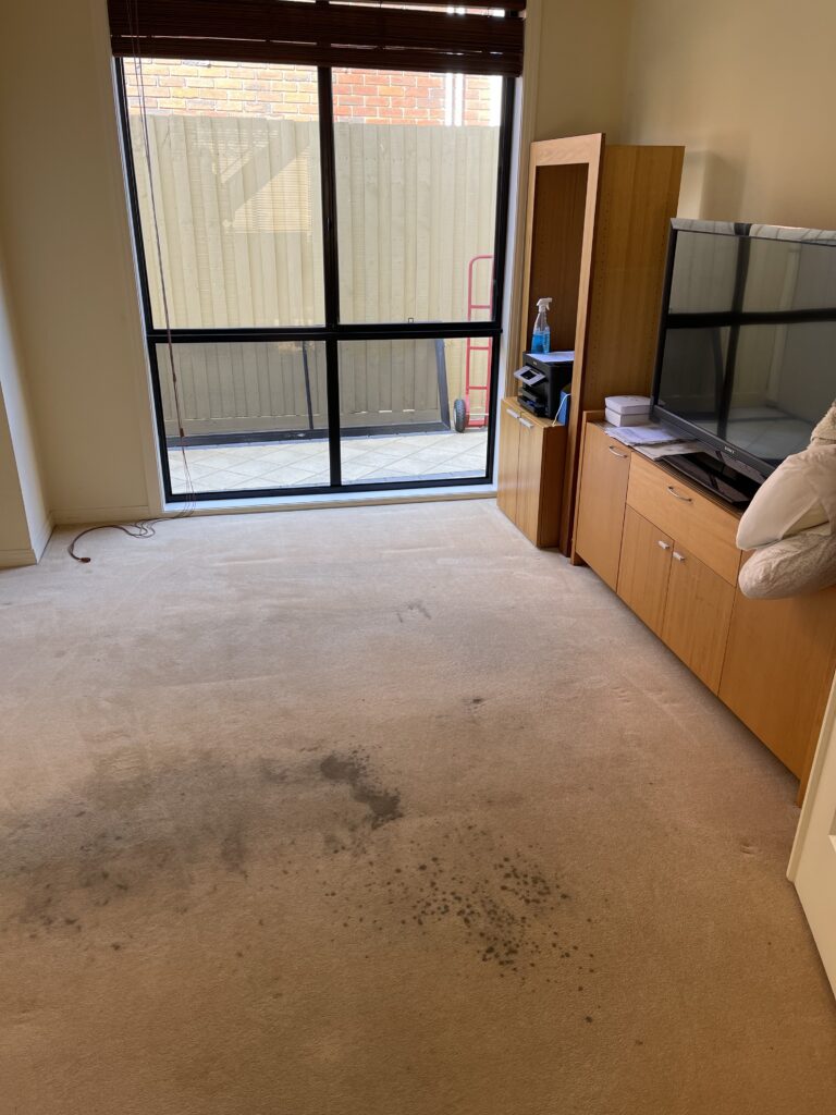Before: Stained lounge-room carpet